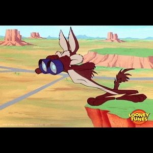 Meet your Posher, Bryce